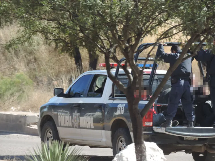 Muerden a agentes de tránsito por multarlos