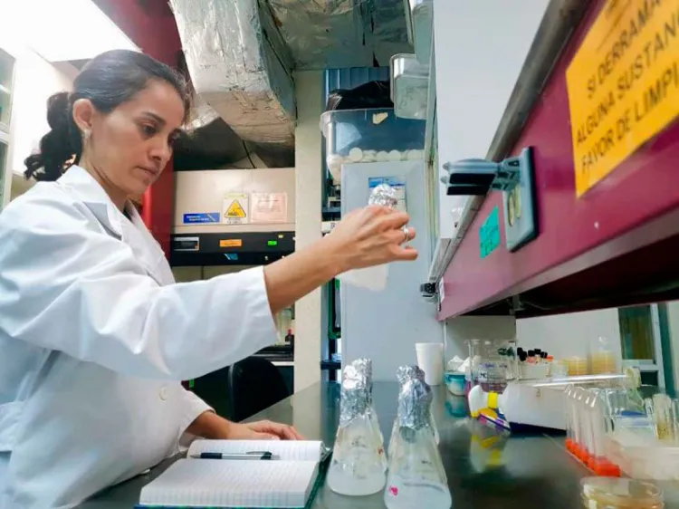 Desarrolla IPN cultivos microbianos que remueven químicos de los plaguicidas