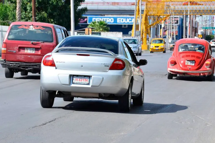 Seguro de auto es obligatorio: Odepafa