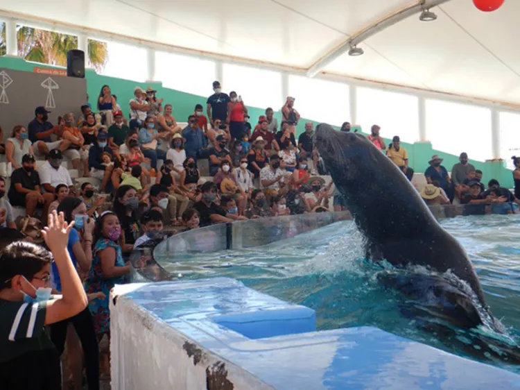 Celebra Delfinario Sonora 15 años llevando esperanza a familias sonorenses