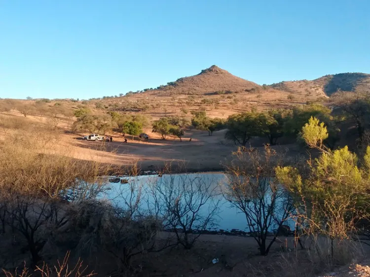 Pelearon por el Centauro de la Frontera y se fueron sin pagar