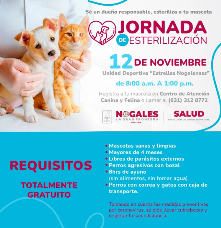 Alistan jornada de esterilización para mascotas