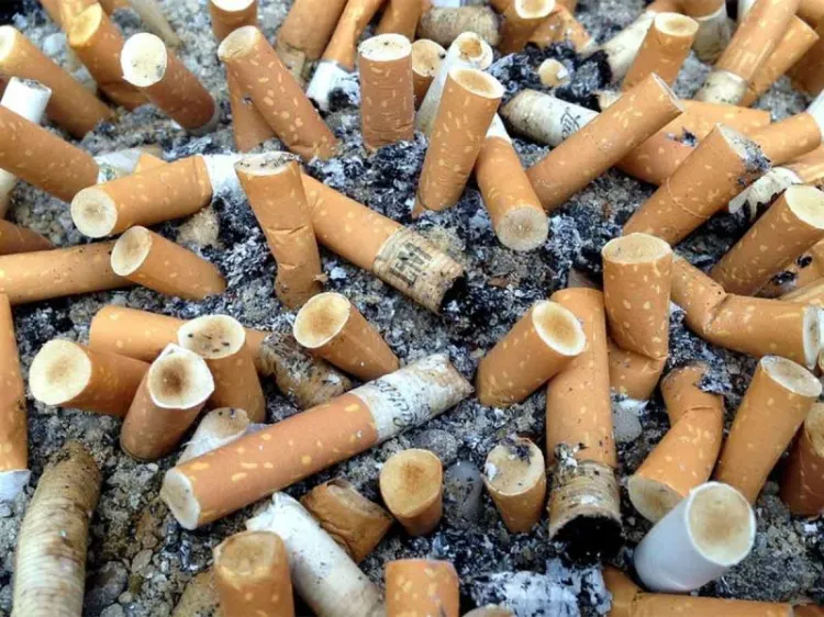 ¿Por qué son tan contaminantes y dañinas las colillas de cigarros?