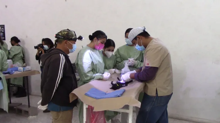 Atienden esterilización de mascotas