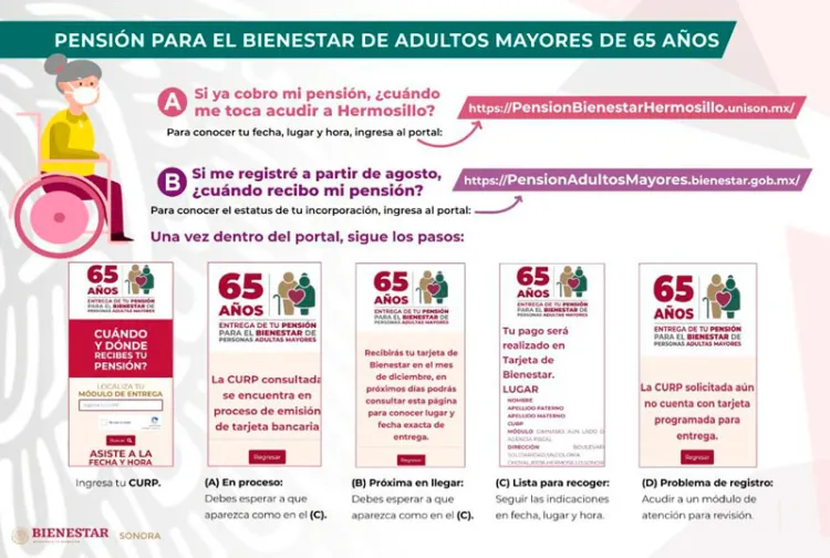 Abren sitios web para monitoreo de pensiones