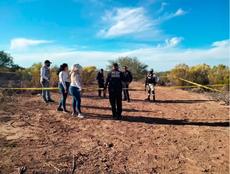 Madres Buscadoras de Sonora localizan fosas clandestinas en poblado de Miguel Alemán: FGJE