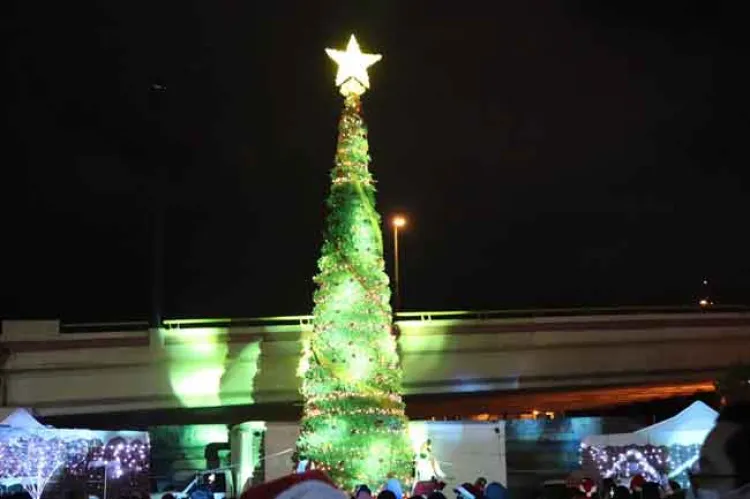 Encienden el Árbol