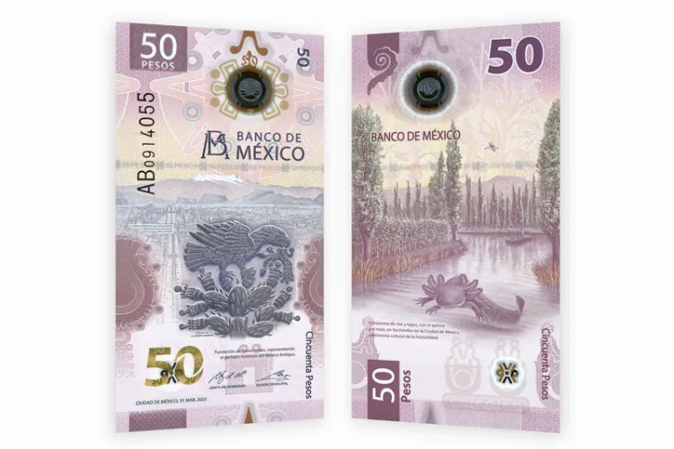 Billete de ajolote de 50 pesos se vende hasta en 45 mil
