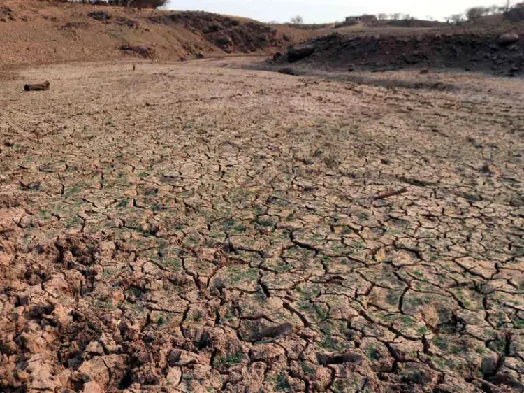 Sequía puede volverse más severa y generalizada, advierten científicos
