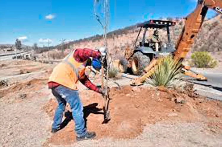 Analizan utilizar el agua industrial en reforestación