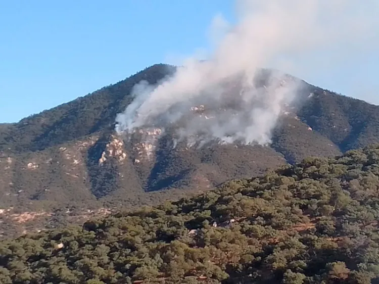 Afecta incendio forestal sierra alta de Aconchi