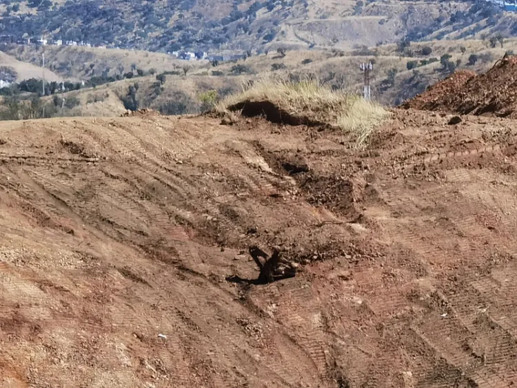 Sin plan de reforestación en sitios de construcción y fraccionamiento