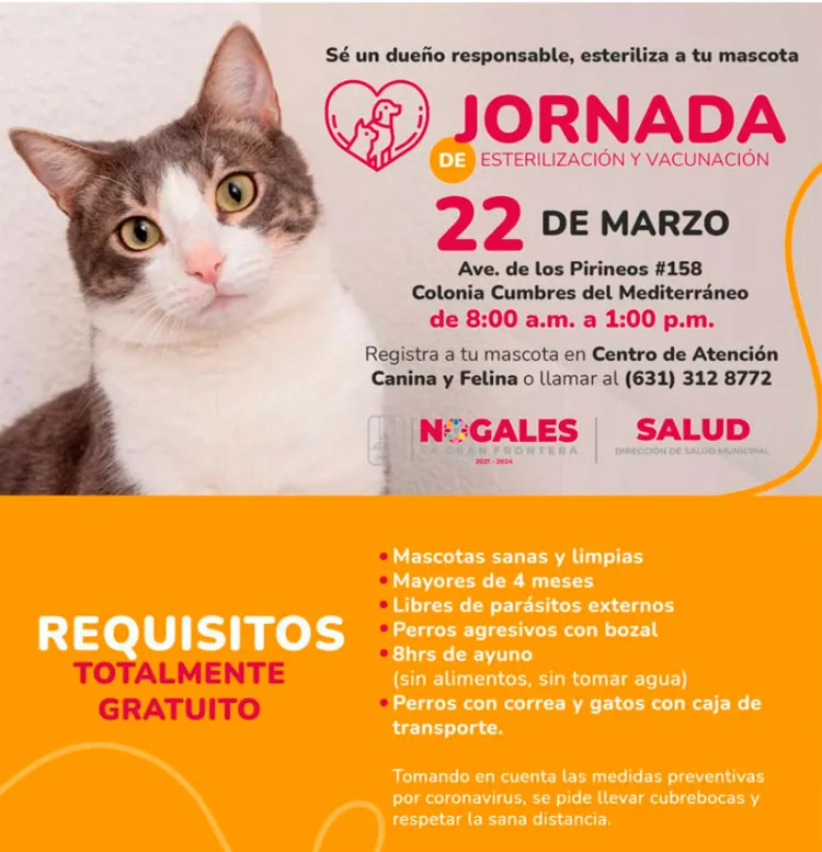 Alistan jornada de esterilización