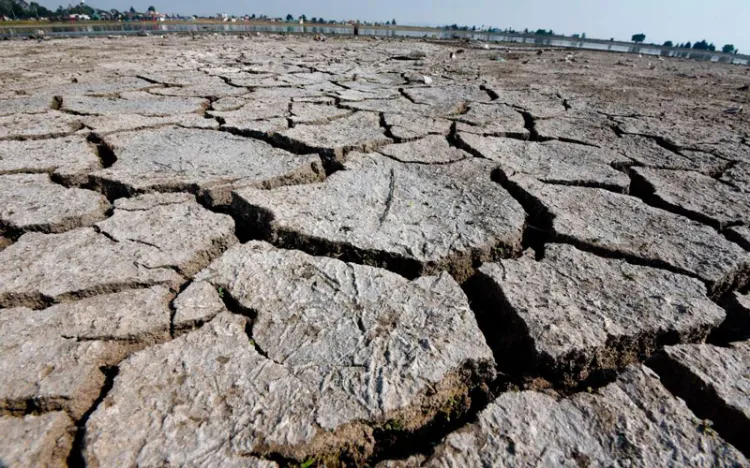 Sequía repunta en 7.3% con respecto al año pasado