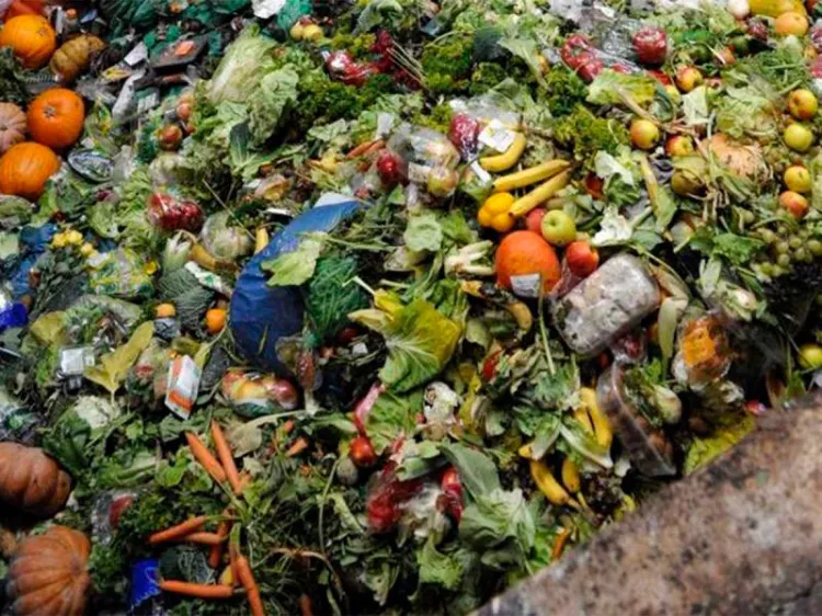 Desperdiciar comida calienta al planeta; América Latina tiene mayor pérdida