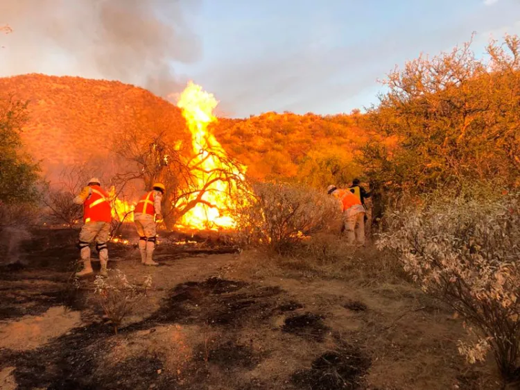 Activan por incendio forestal el Plan DN-III-E en la capital