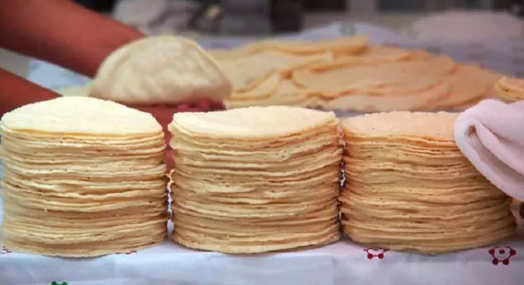 Llevan a consulta tortillas nixtamalizadas; van contra maíz transgénico