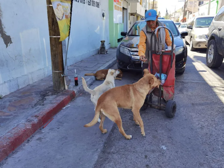 Don José Carlos alimenta a su paso a perros callejeros