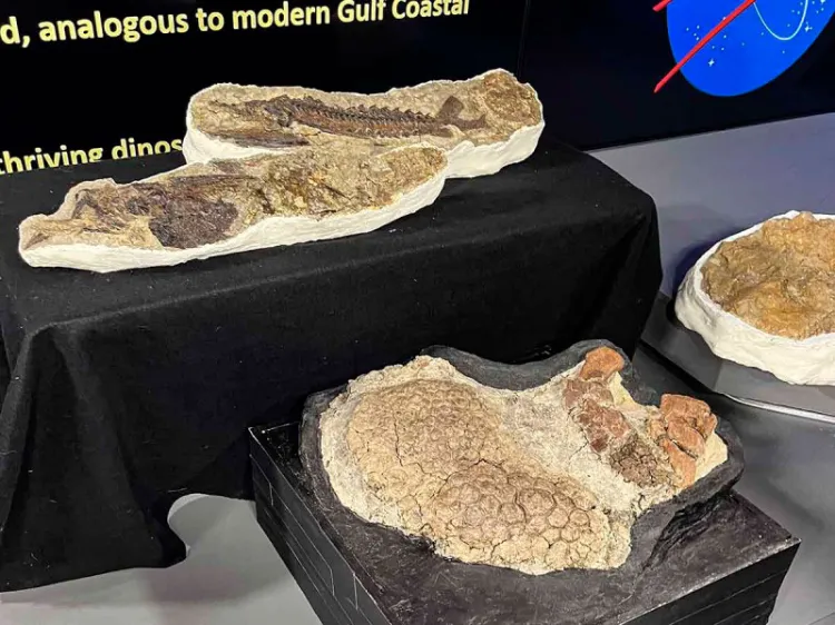 Hallan posibles fragmentos del asteroide que mató a los dinosaurios