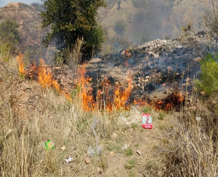 Incendio arrasa en zona del Bellotoso