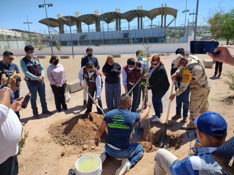 Conmemoran Día de la Tierra con plantación de árboles