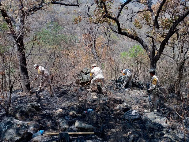 Aplican el Plan DN-III-E en incendio forestal de Álamos