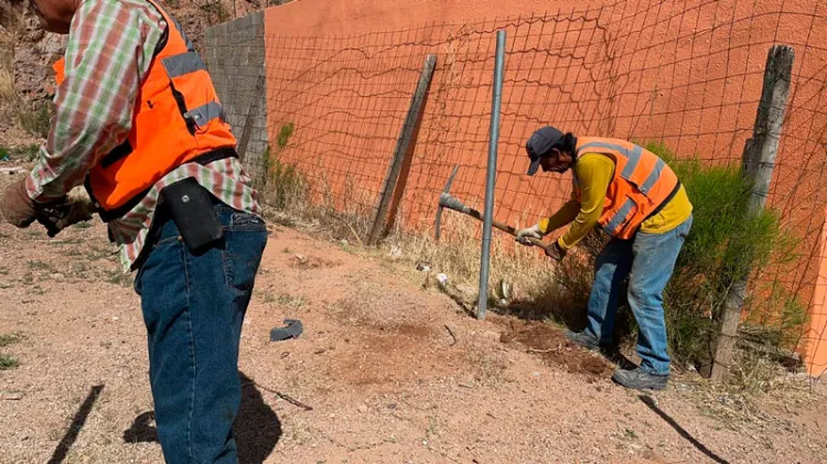 Rescatan un área verde en colonia Nuevo Milenio