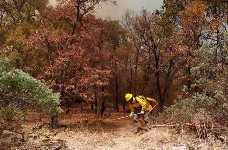 Combaten incendio en sur de Sonora