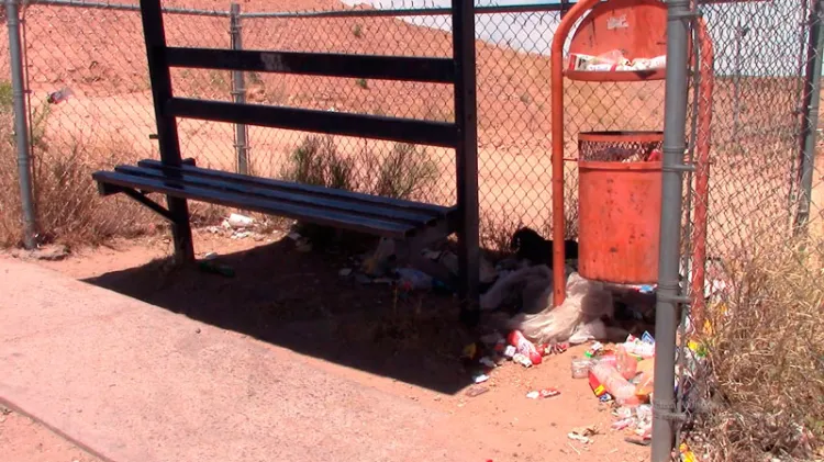 Reportan parada de camión llena de basura