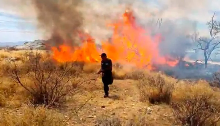 Combaten incendio en Hermosillo