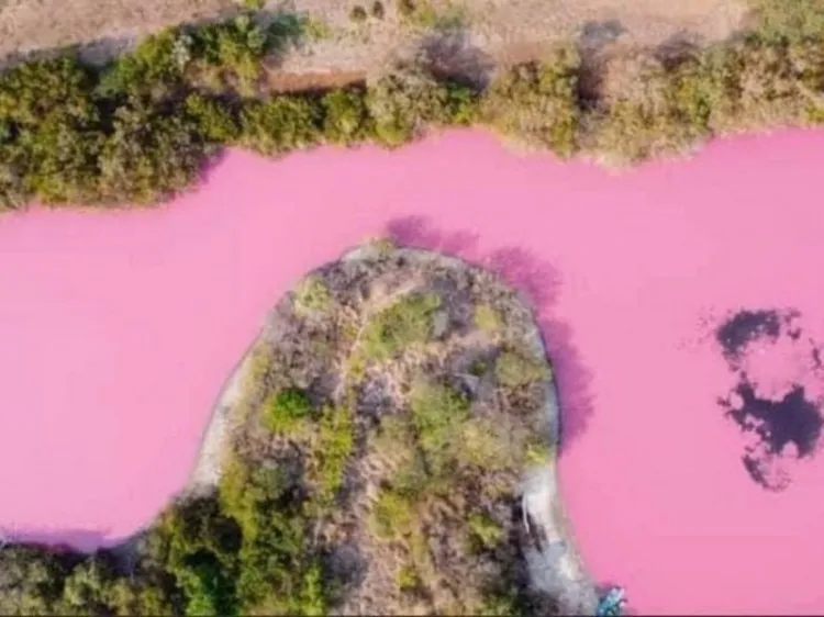 Laguna se tiñe de rosa en costa de Oaxaca