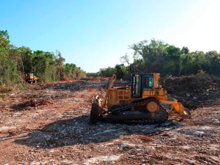 Presentan estudio de impacto ambiental del Tramo 5 sur del Tren Maya
