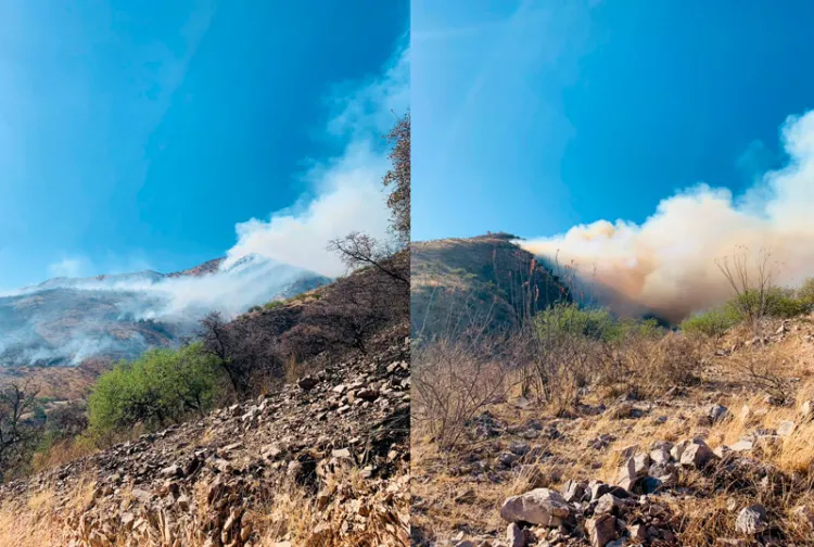 Avanza combate a incendio forestal en Ímuris