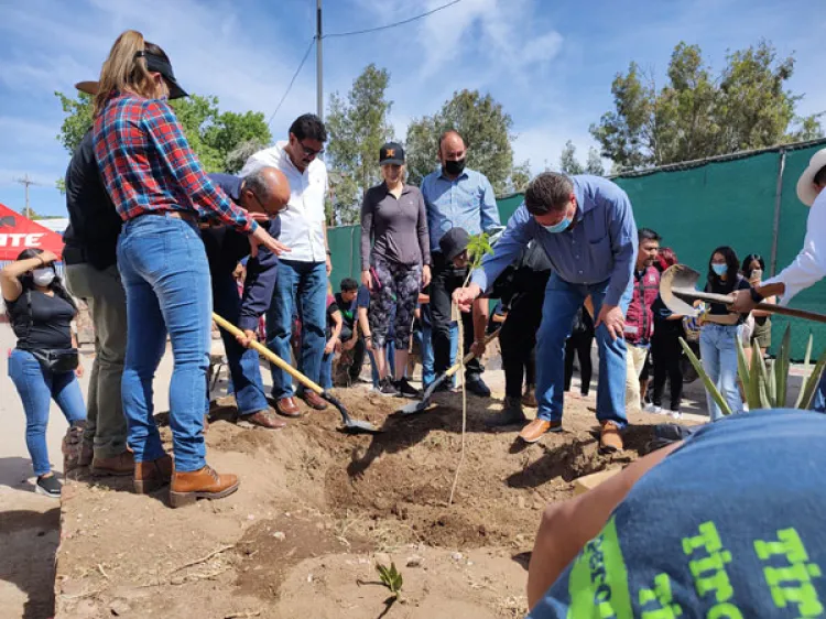 Trabajan en reforestar la Unidad Deportiva