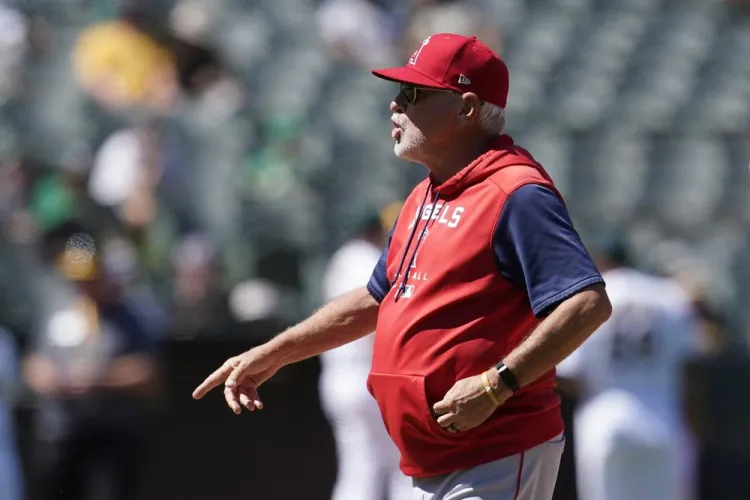 Angelinos despide a Maddon