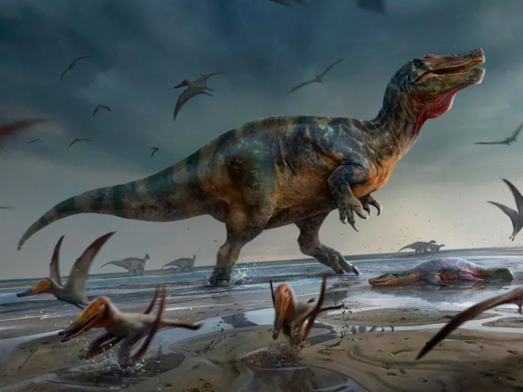 Descubren al ‘espionosaurio de White Rock’, el mayor depredador de Europa