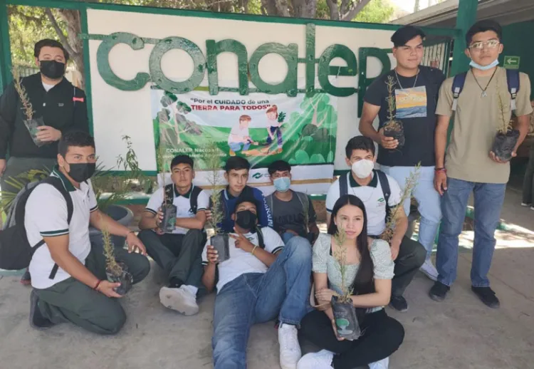 Plantarán alumnos del Conalep árboles nativos en sus planteles