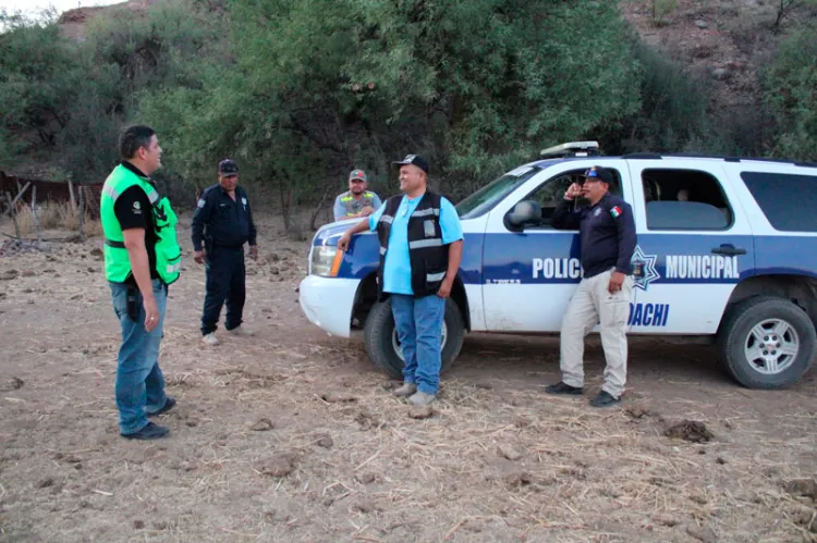 Alejan con éxito a osos de zona urbana