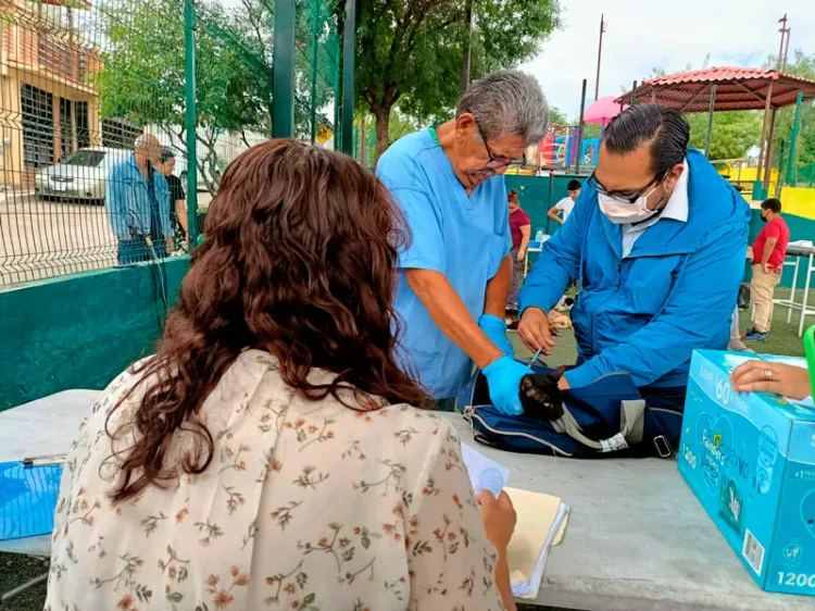 Mantienen programa de castración de mascotas