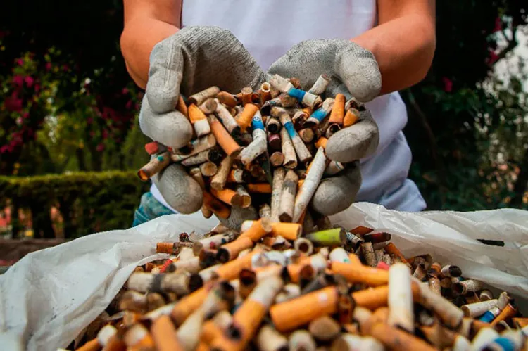 Recolecta grupo Ecobarrio más de siete mil colillas de cigarros