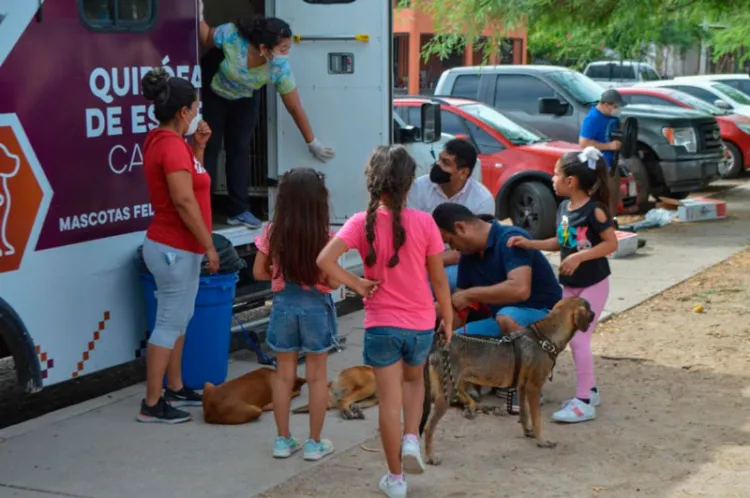 Realiza Salud un programa de atención Canina y Felina