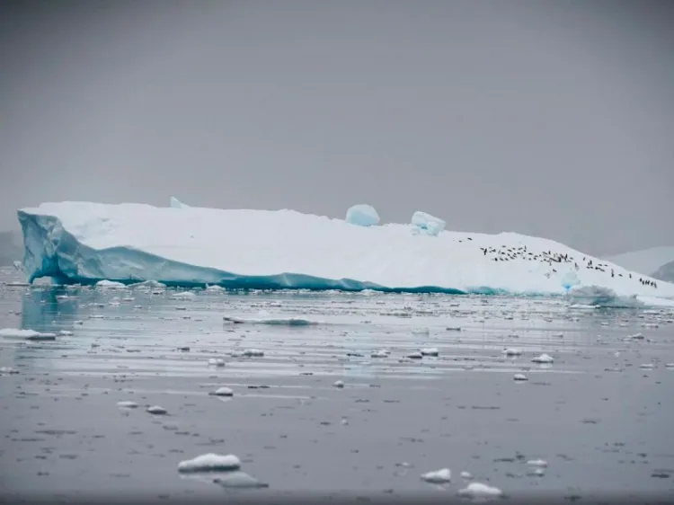 Aumenta el deshielo en Groenlandia