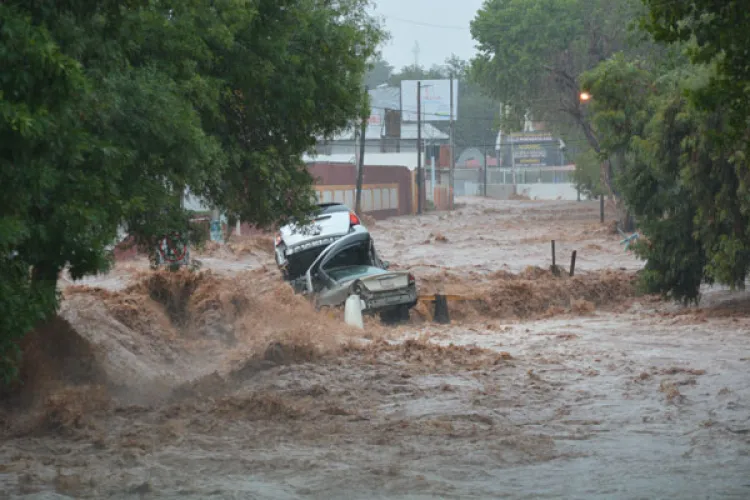 Tormenta enluta a Nogales