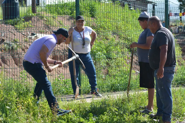 Promueve David Chavoya reforestación en colonias