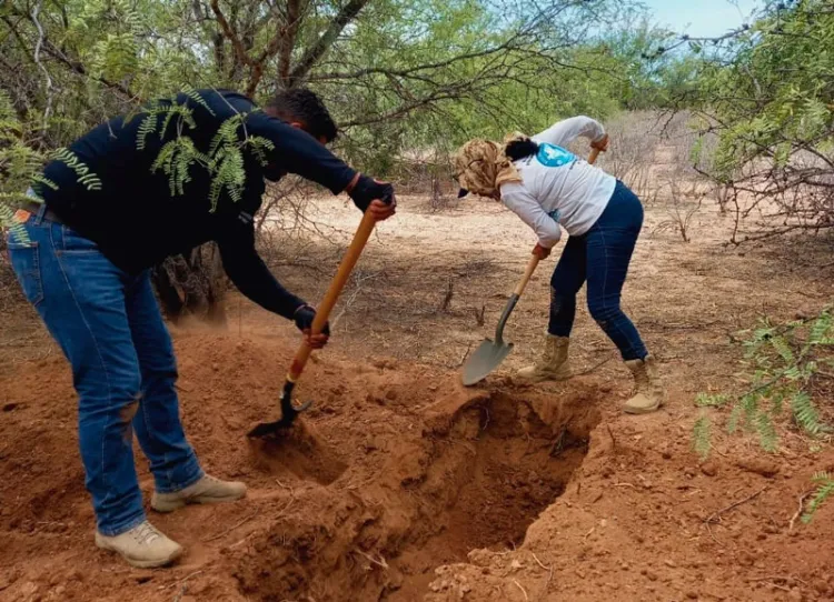 Localizan los Colectivos restos óseos en una fosa en Guaymas