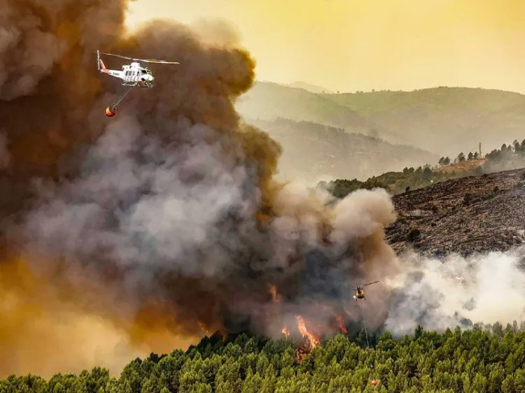 Incendios forestales, al doble desde 2001