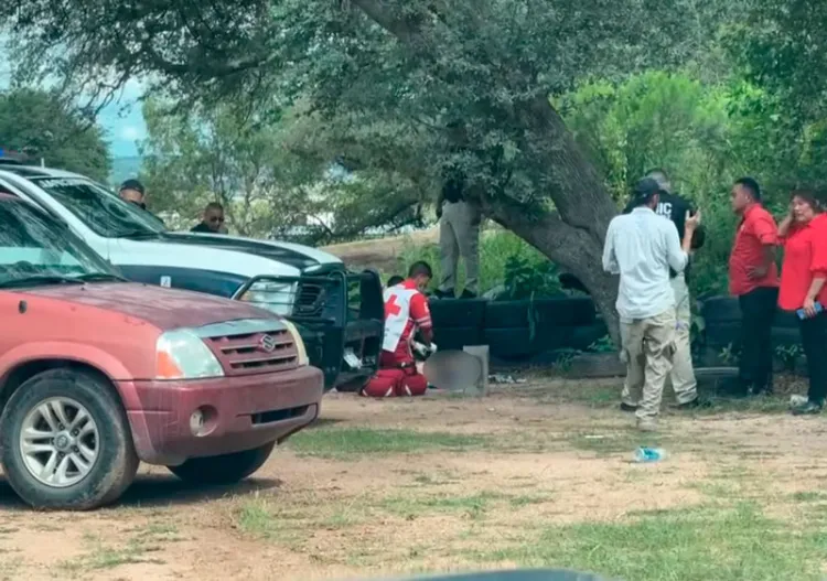 Sujetos armados lo amarran a árbol y lo agreden