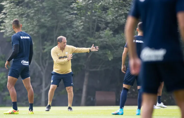 Piensan Pumas en Tigres