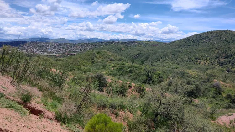 Habilitarán acceso a zona de construcción de presa en Nogales