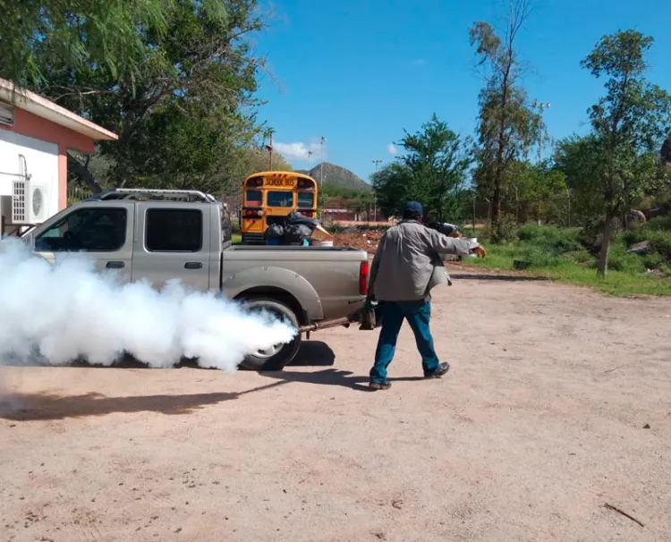 Acuerdan el iniciar labores de fumigación en zonas afectadas